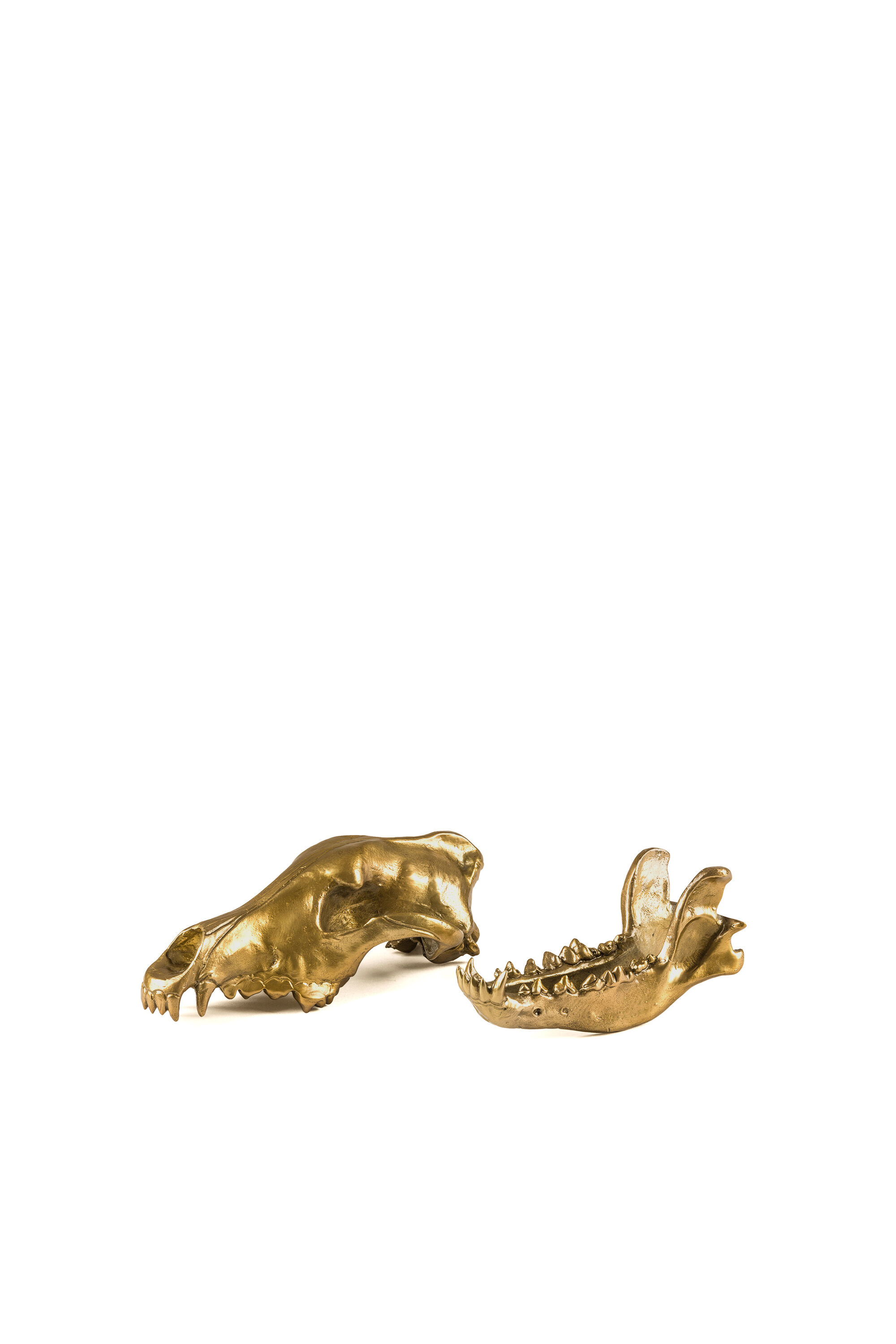 Diesel - 10892 Wunderkammer, "Wolf This Way" Wunderkammer Wolf Skull Mixte in Doré - 4