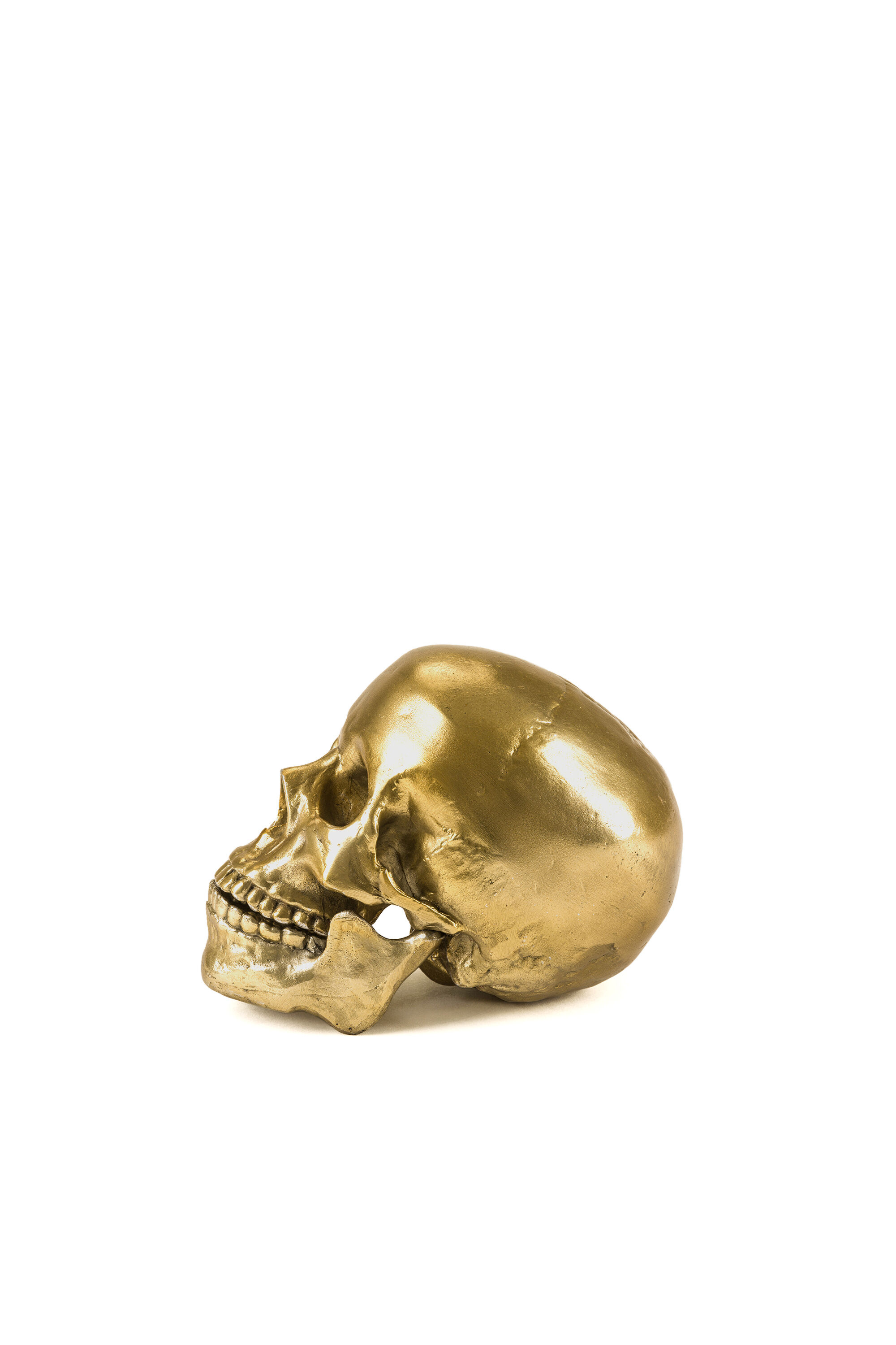 Diesel - 10891 Wunderkammer, "Culture Skullture" Wunderkammer Human Skull Mixte in Doré - 2