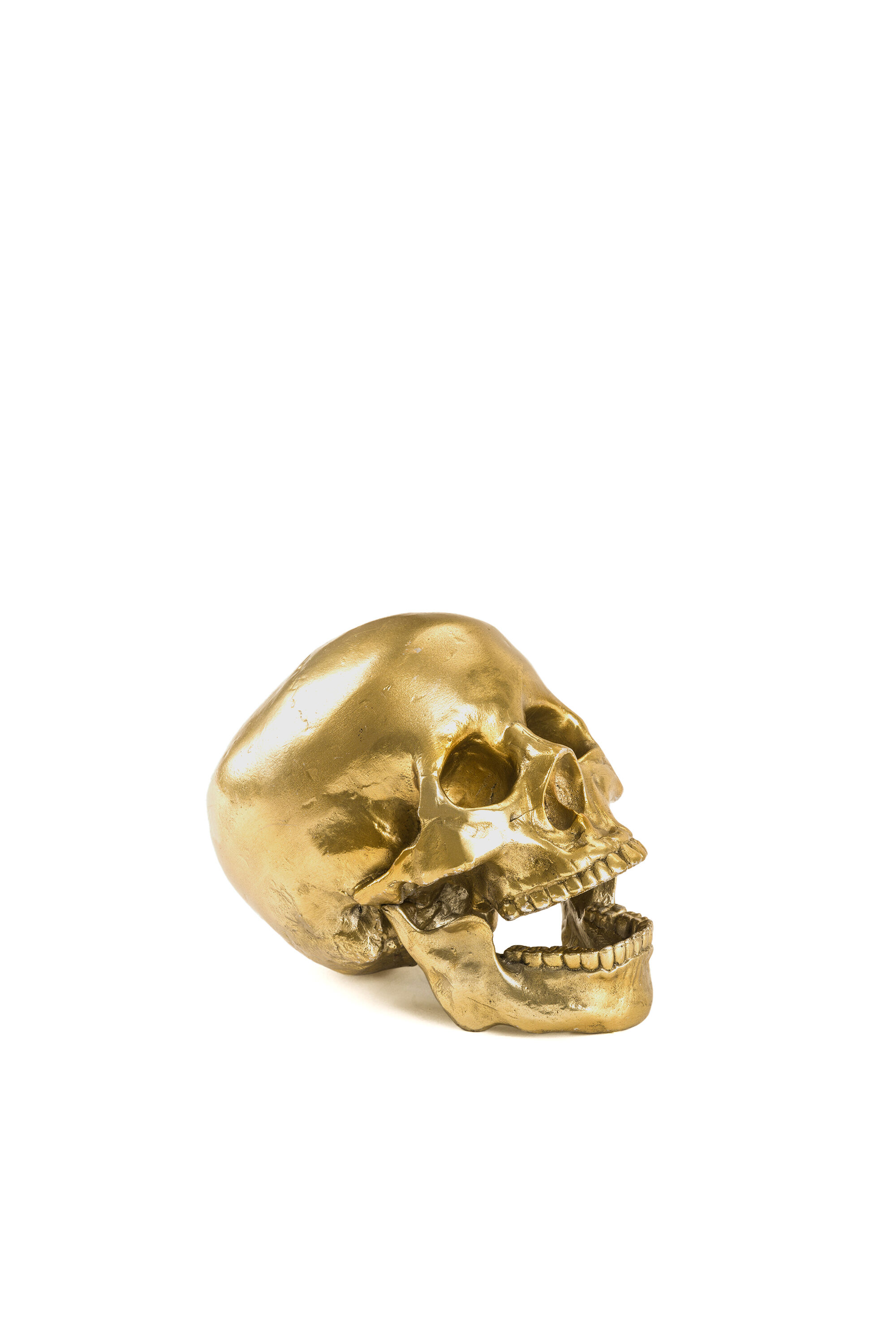 Diesel - 10891 Wunderkammer, "Culture Skullture" Wunderkammer Human Skull Mixte in Doré - 3