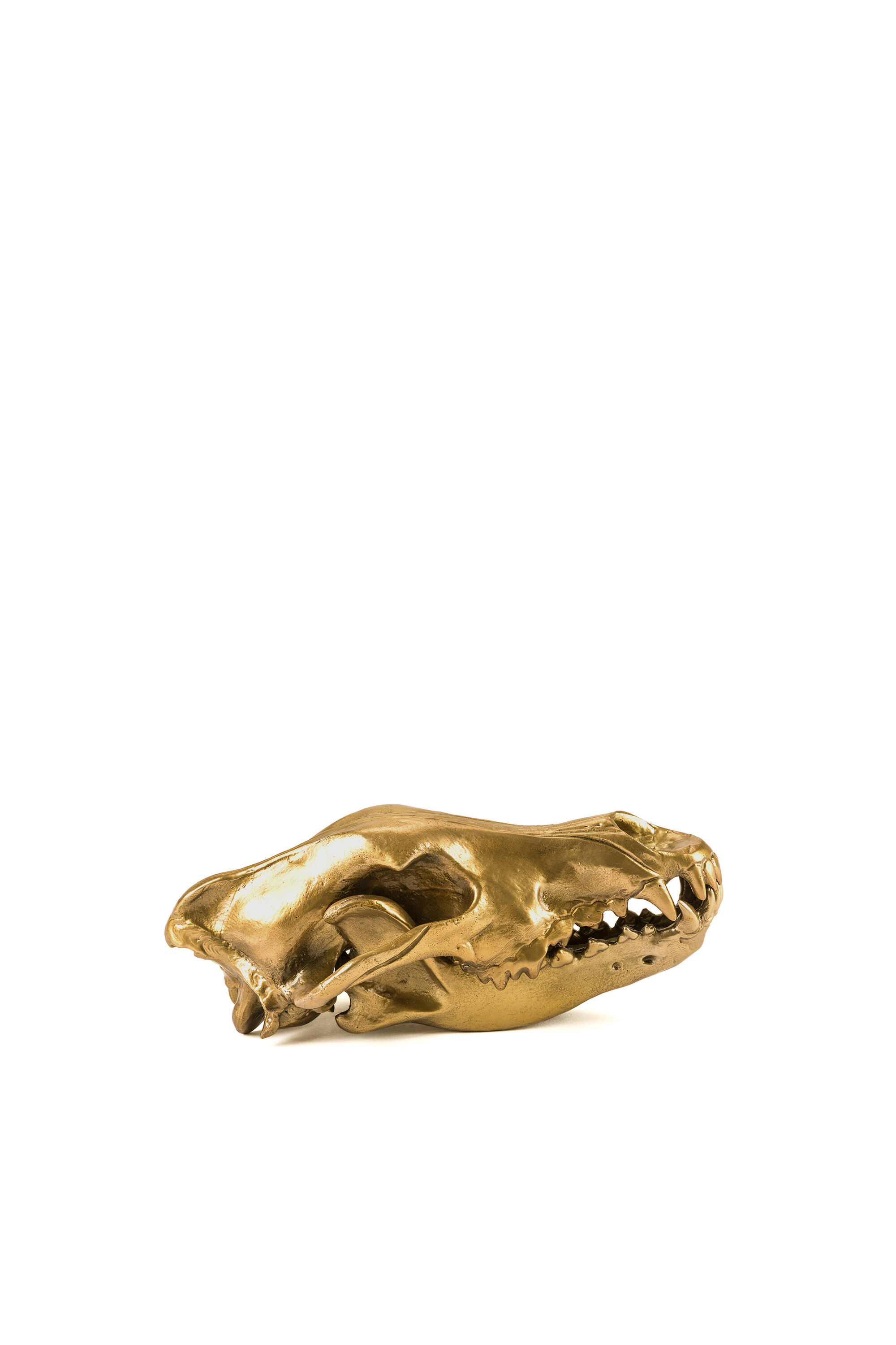 Diesel - 10892 Wunderkammer, "Wolf This Way" Wunderkammer Wolf Skull Mixte in Doré - 2