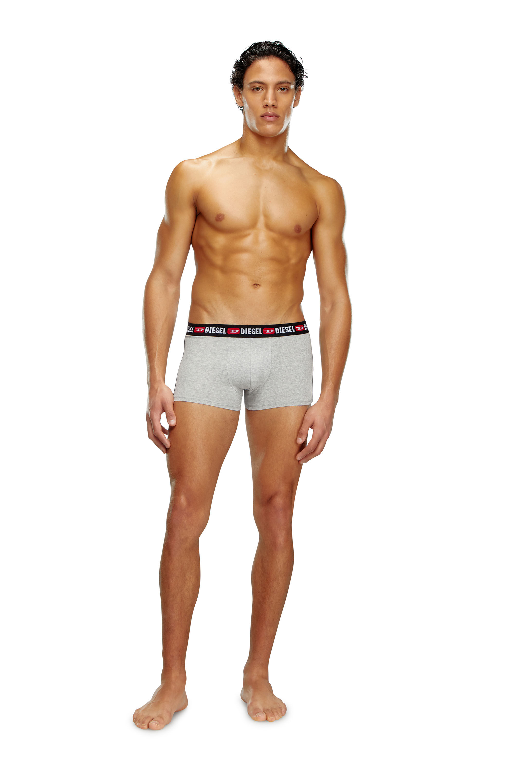 Diesel - UMBX-SHAWNTHREEPACK, Male's Three-pack boxer briefs with side band in Grey/Black - 2