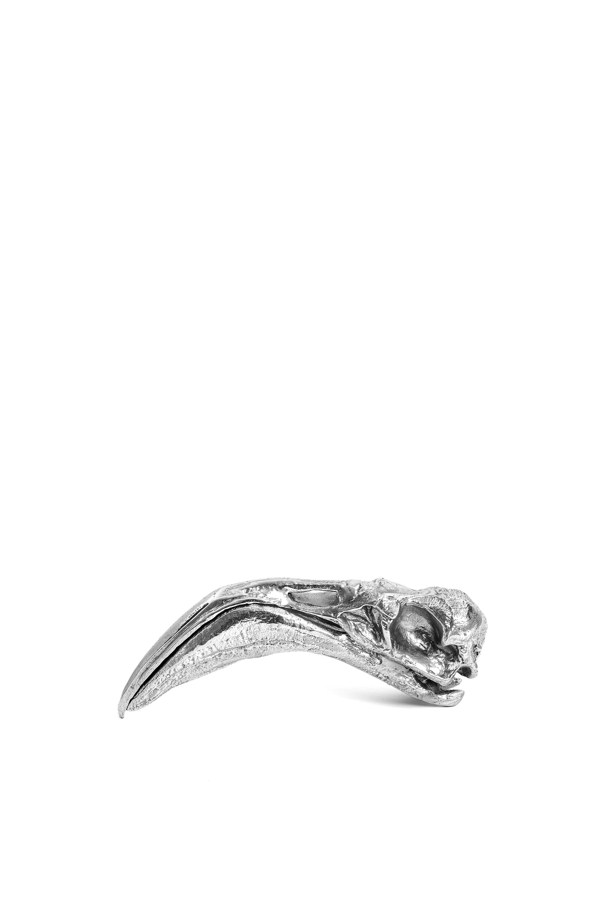 Diesel - 10898 WUNDERKAMMER, Wunderkammer "Flamingo Skull" Mixte in Gris argenté - 1
