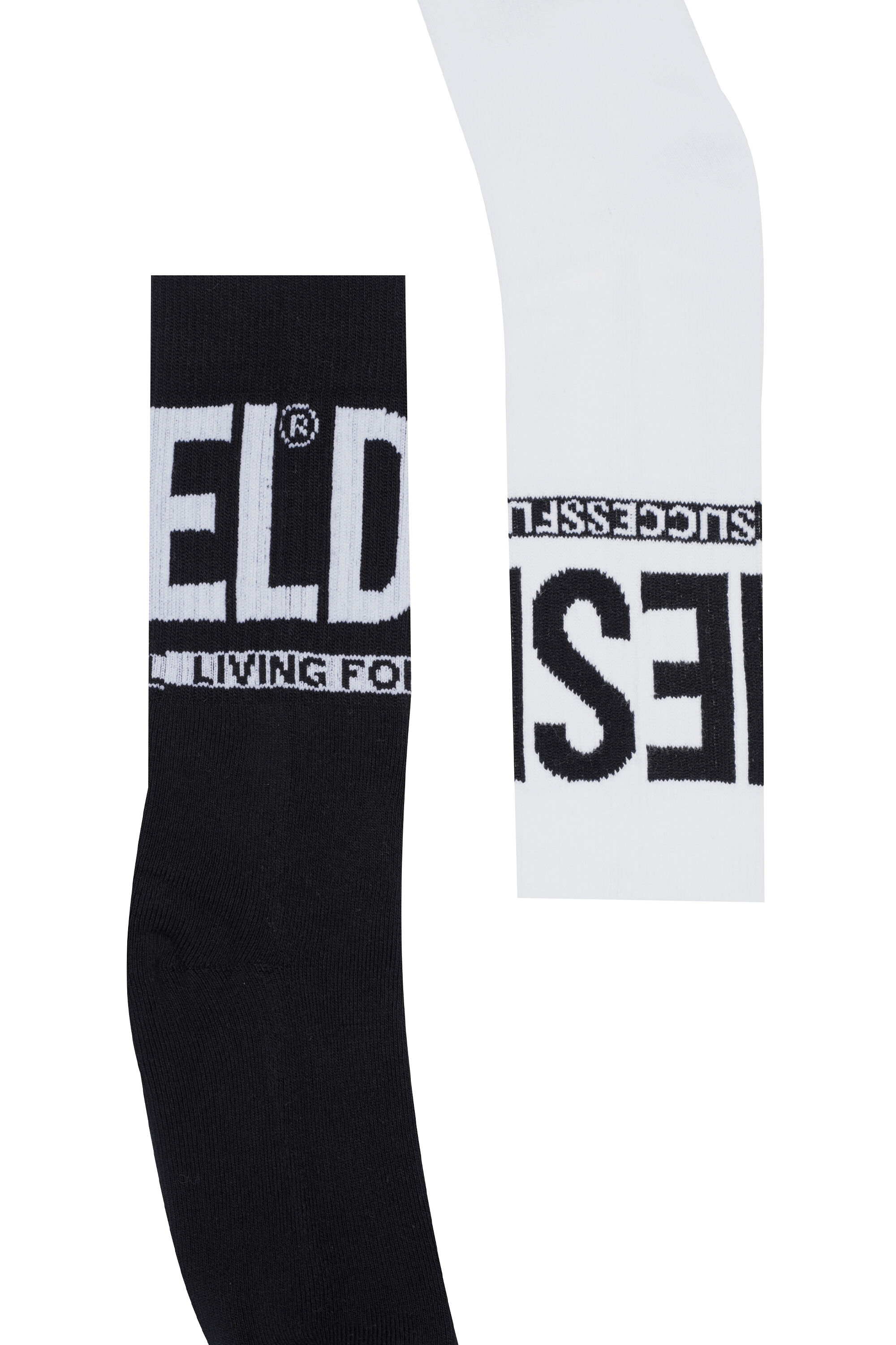 Diesel - SKM-ZRAYBIPACK, Male's Two-pack of socks with logo in Black/White - 2