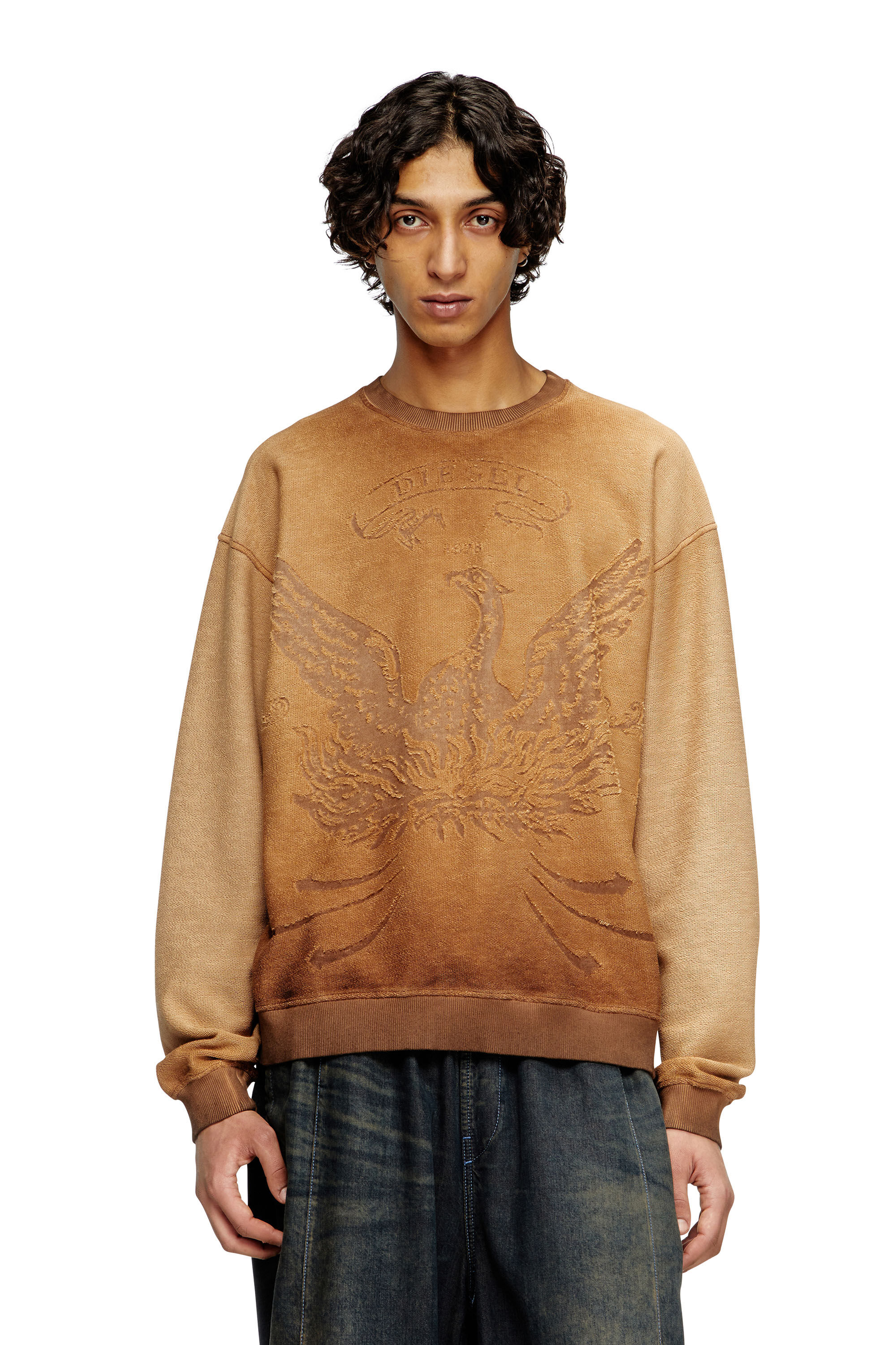 Diesel - S-ARON, Male's Faded sweatshirt with devoré Phoenix logo in Brown - 3