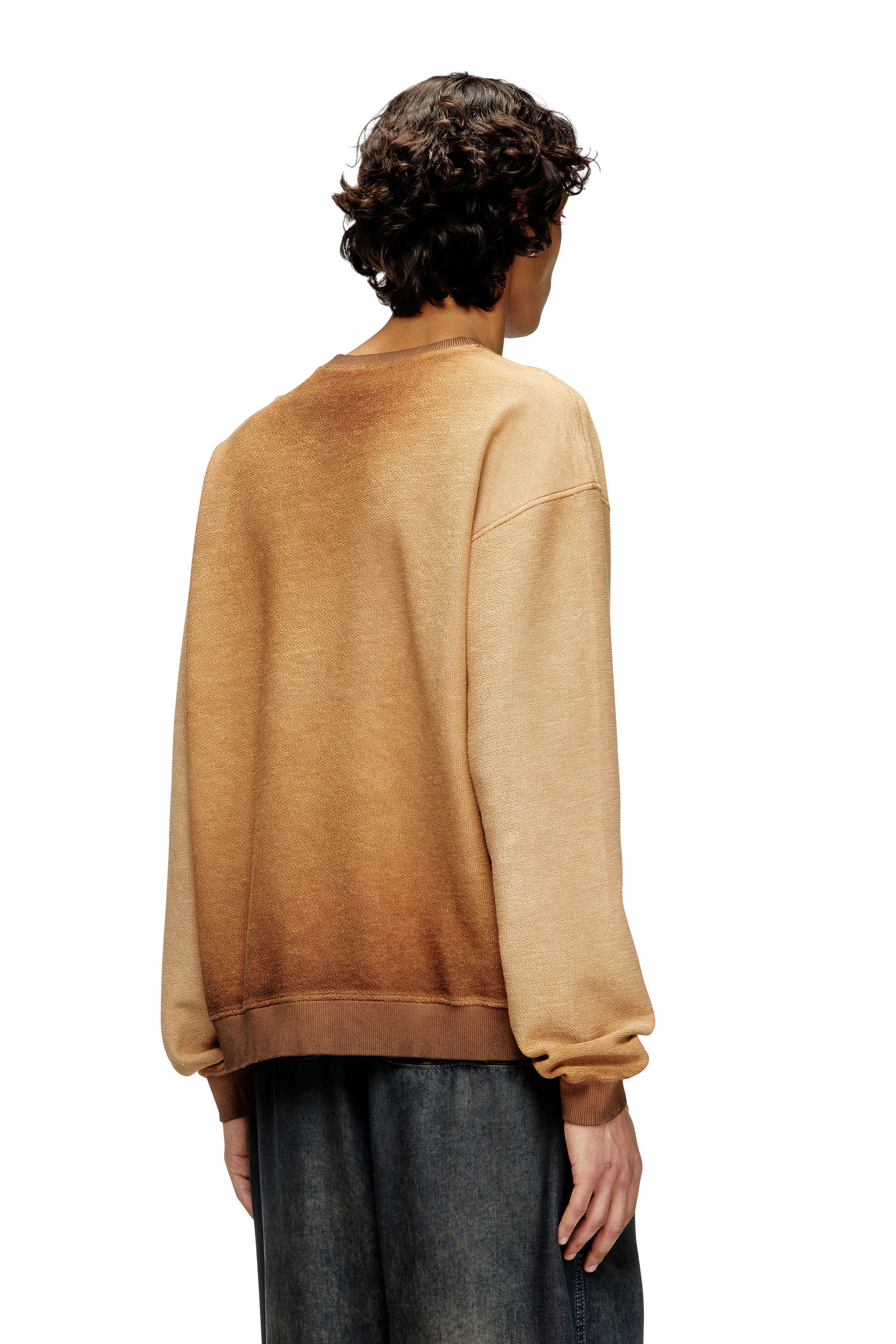 Diesel - S-ARON, Male's Faded sweatshirt with devoré Phoenix logo in Brown - 4