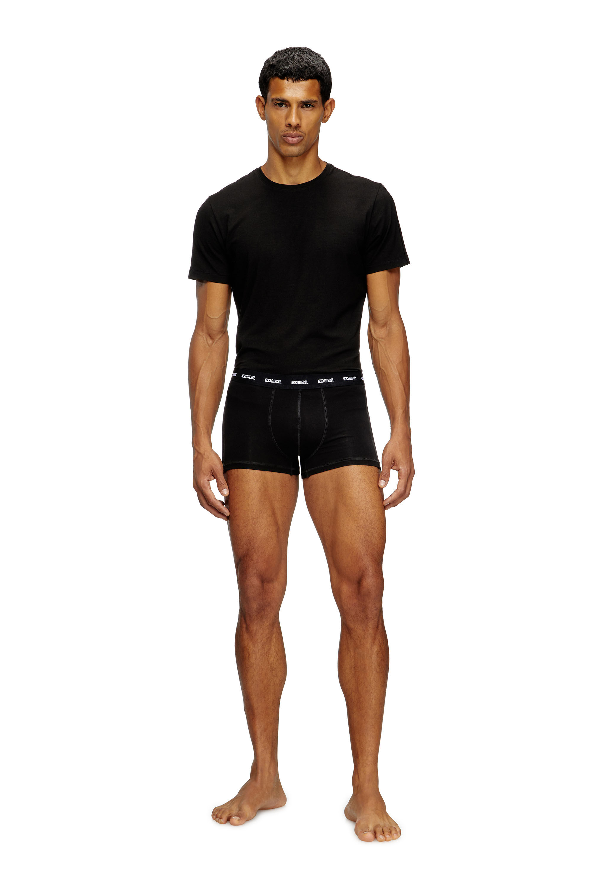 Diesel - RANDAL-D-MONO-2PACK, Male's 2-pack T-shirts in fluid jersey in Black - 1
