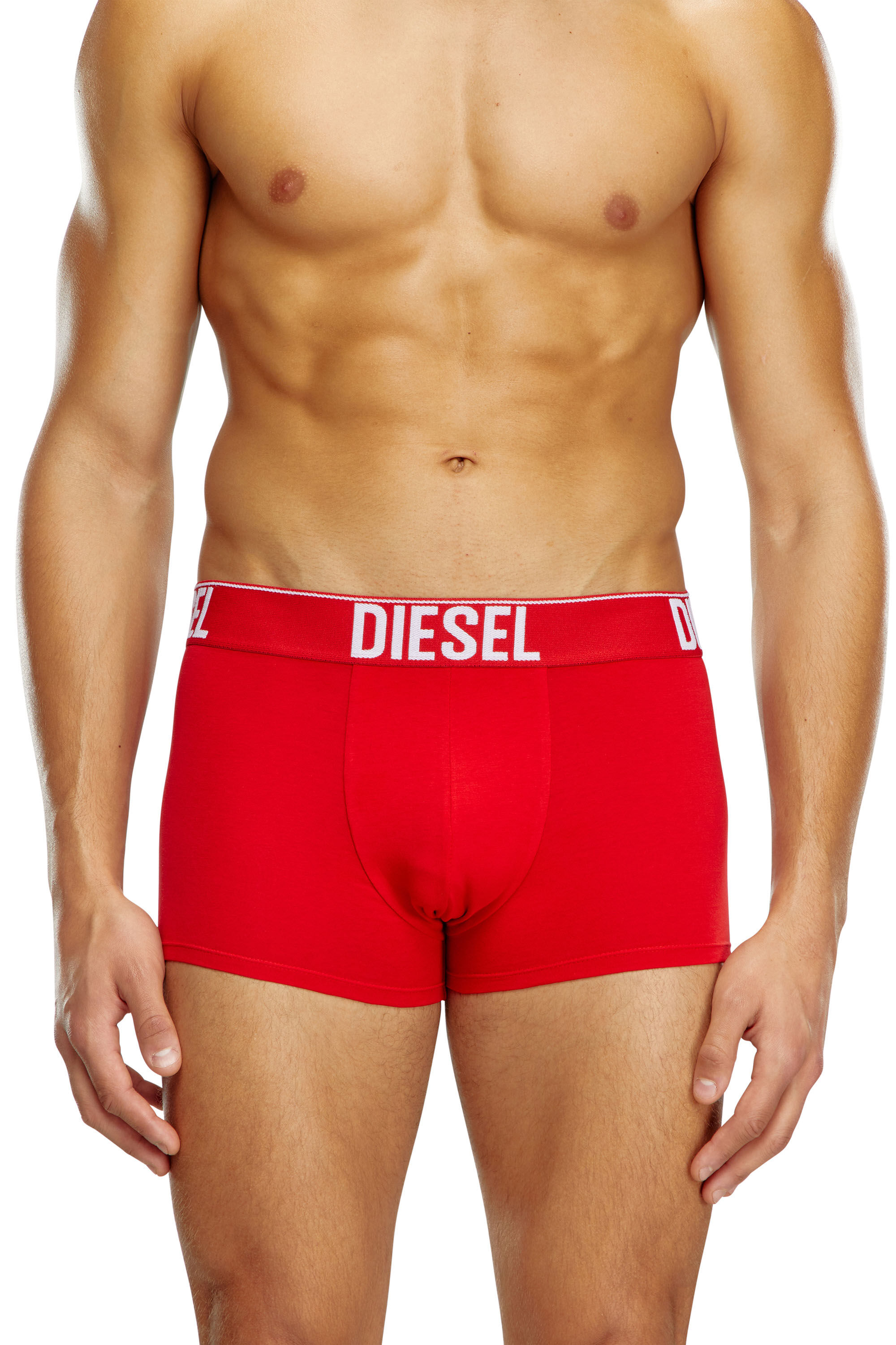 Diesel - UMBX-DAMIENTHREEPACK, Male's Three-pack boxer briefs with tonal waist in White/Black - 1