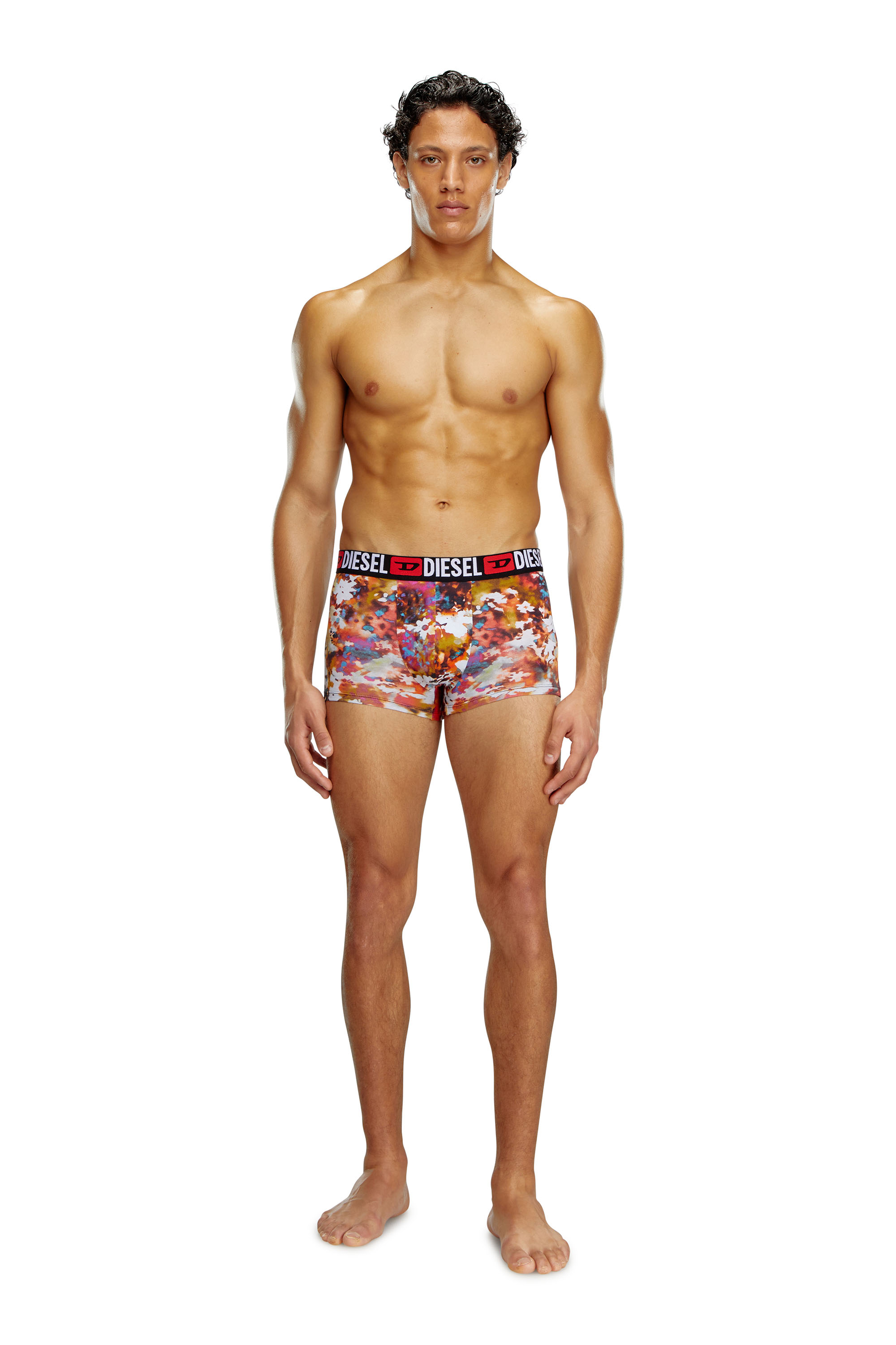 Diesel - UMBX-DAMIENTHREEPACK, Male's 3-pack boxer briefs plain and floral in Multicolor - 4