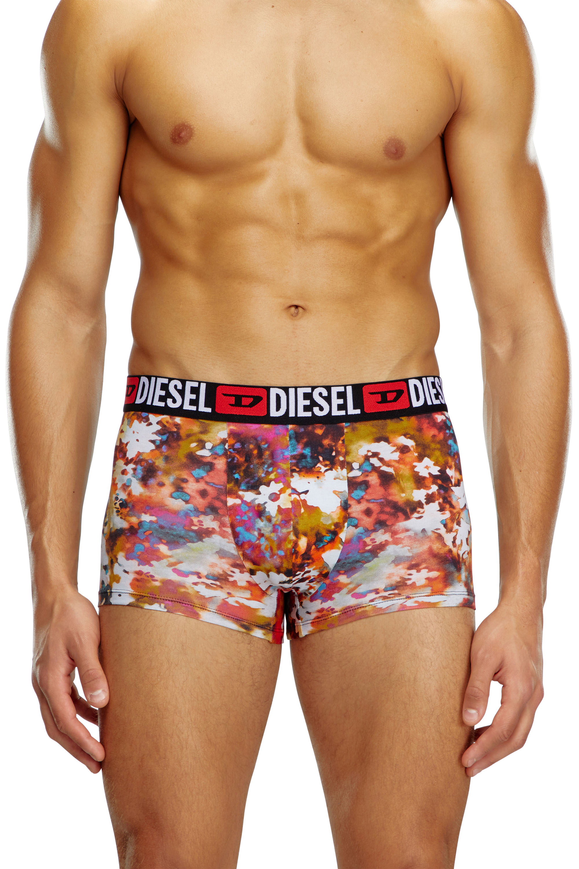 Diesel - UMBX-DAMIENTHREEPACK, Male's 3-pack boxer briefs plain and floral in Multicolor - 2