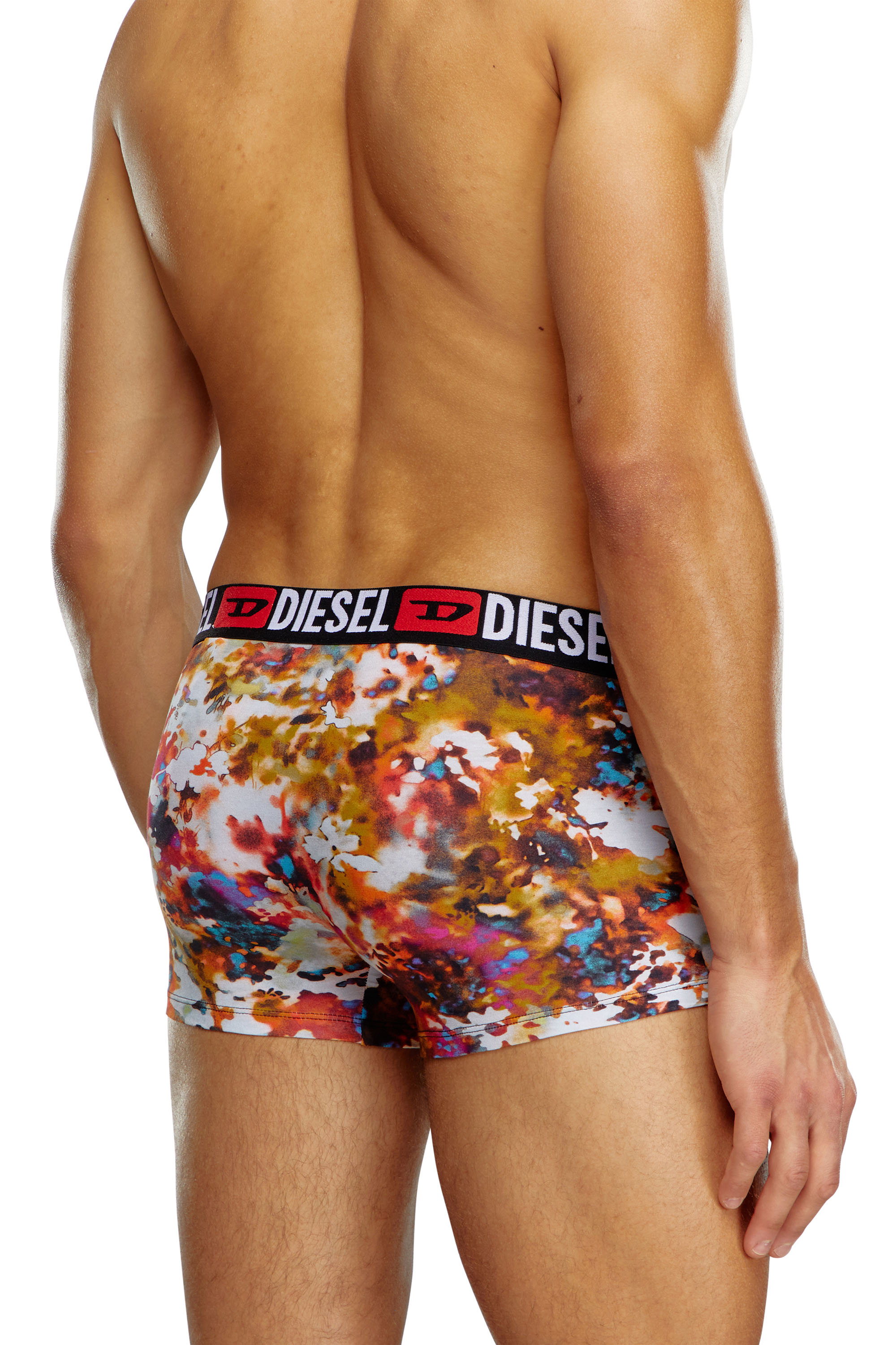 Diesel - UMBX-DAMIENTHREEPACK, Male's 3-pack boxer briefs plain and floral in Multicolor - 3