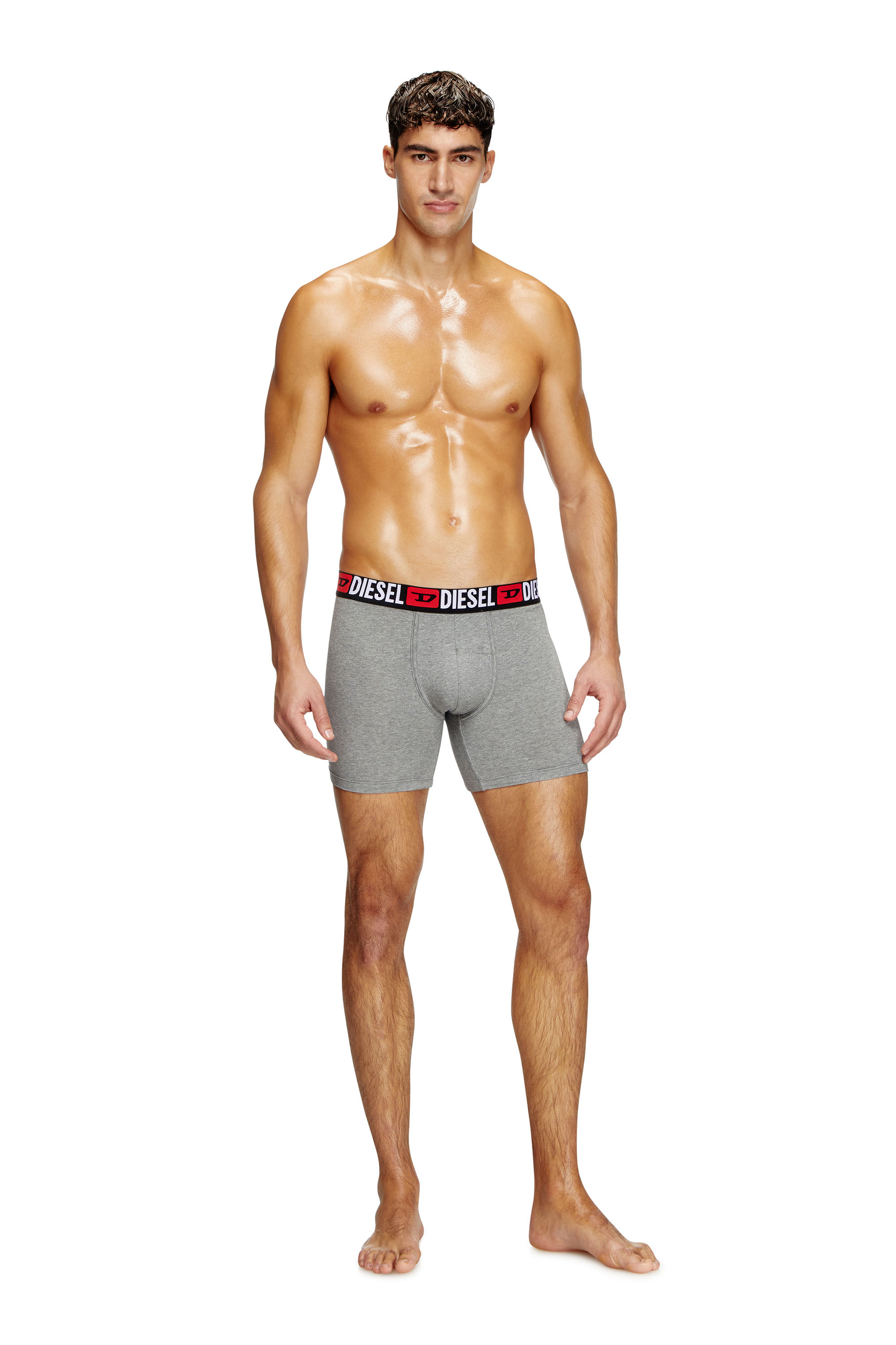 Diesel - MAX-D-CORE-3PACK, Boxer en coton stretch Homme in Polychrome - 4