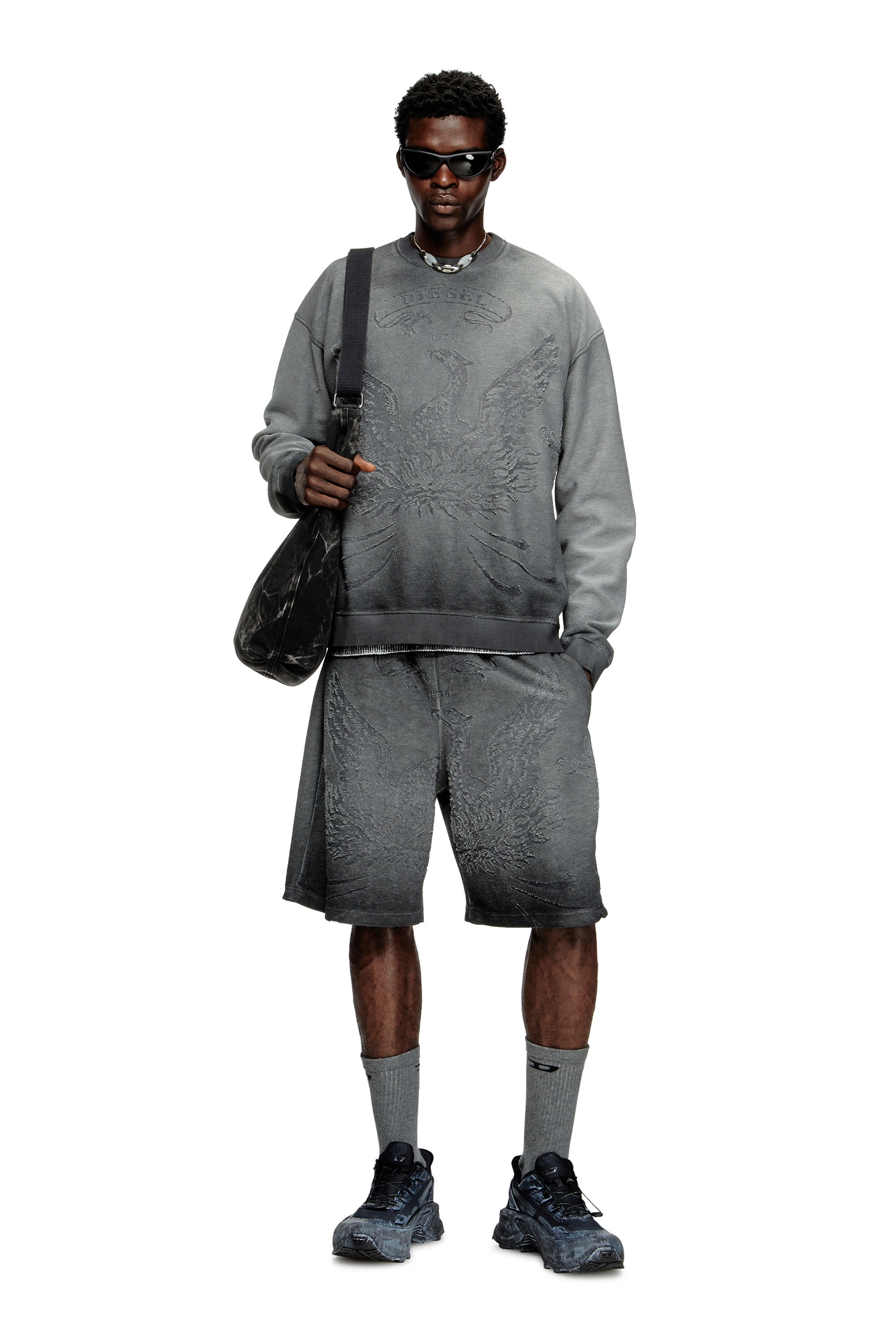 Diesel - S-ARON, Male's Faded sweatshirt with devoré Phoenix logo in Grey - 2
